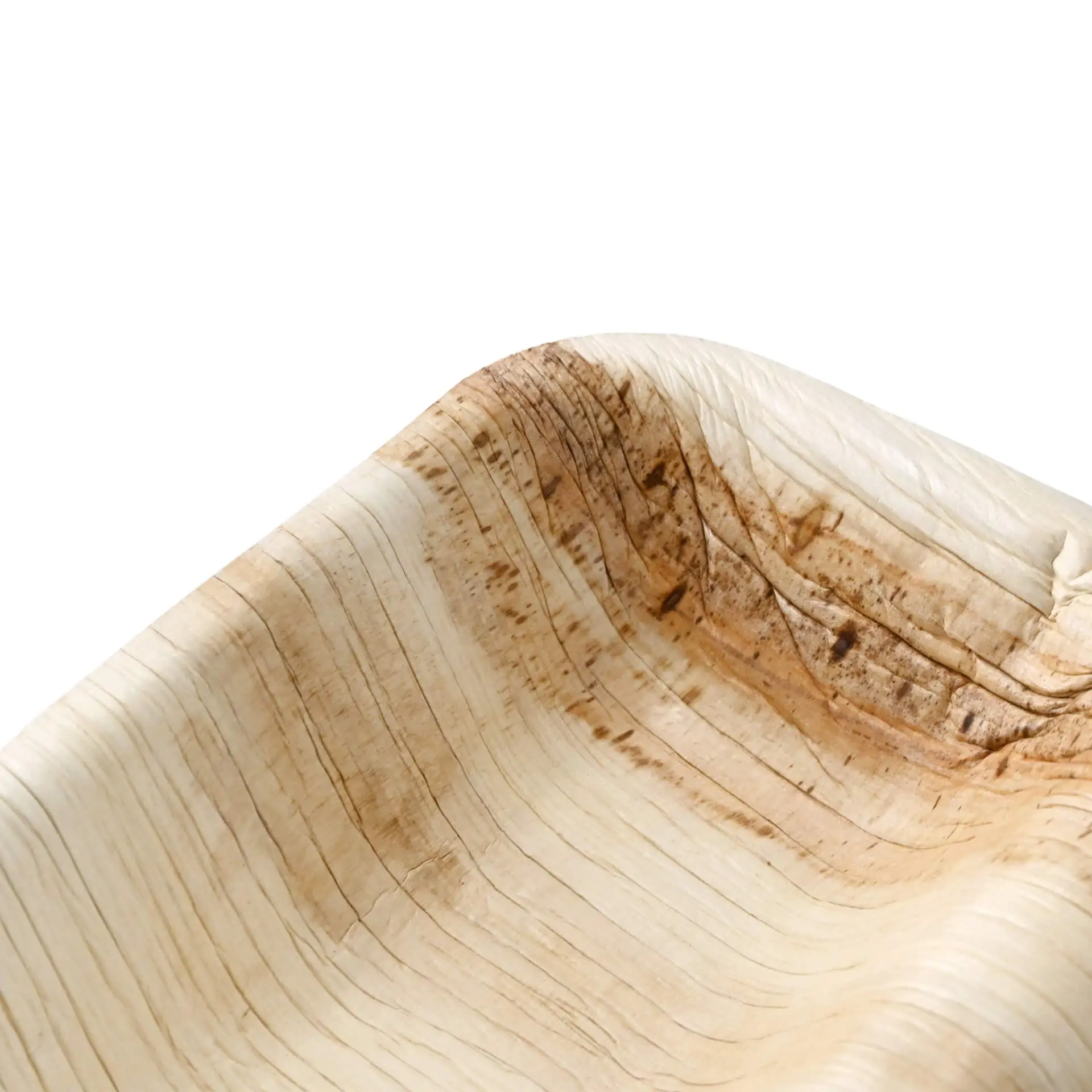 dtw05580-palmblatt-menueteller-palmware-25-x-15-cm-2-kammern-rechteckig-4