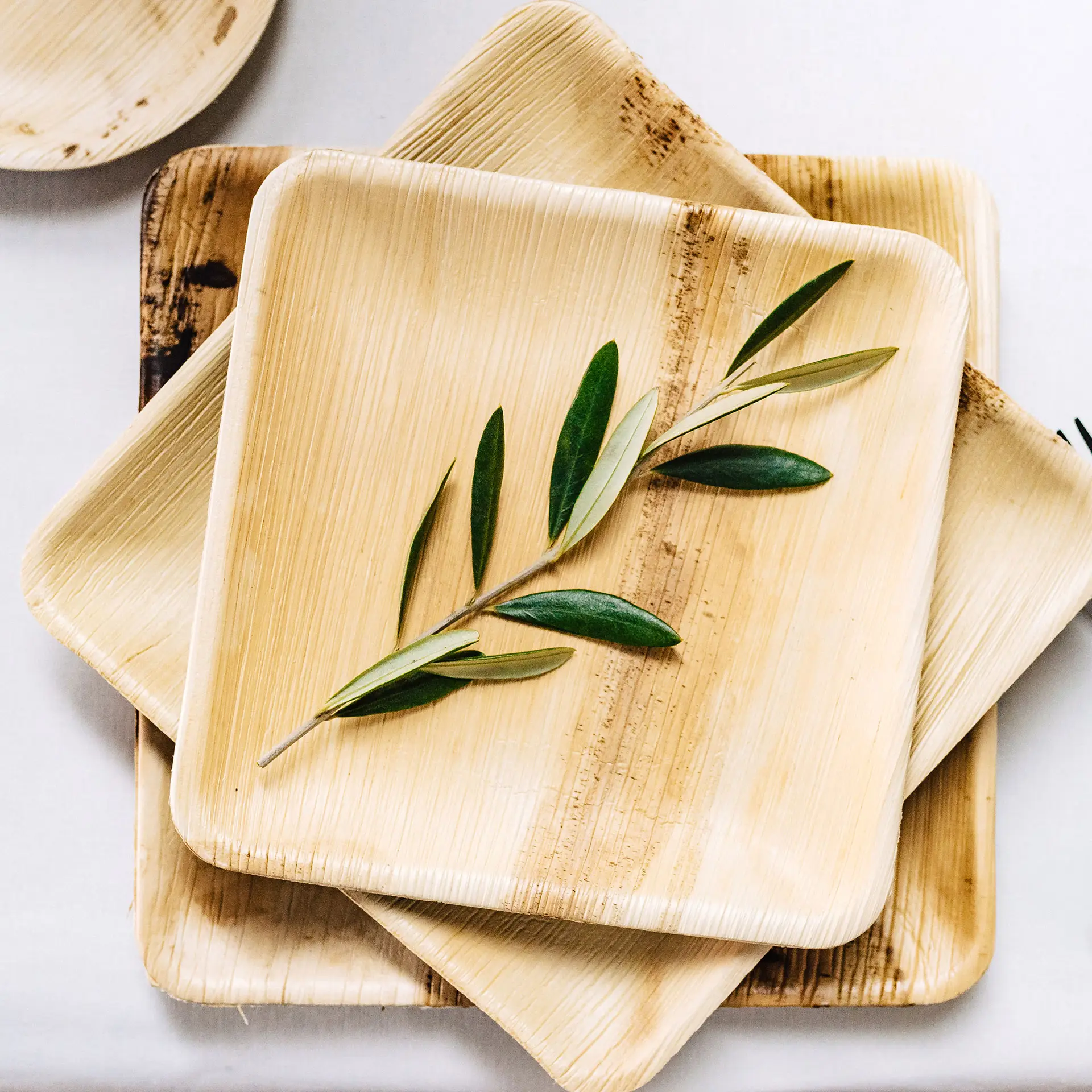 Kwadratowe talerze z liści palmowych o naturalnym wykończeniu, eksponowane z gałązką oliwną na górze, podkreślające ich zrównoważony design.