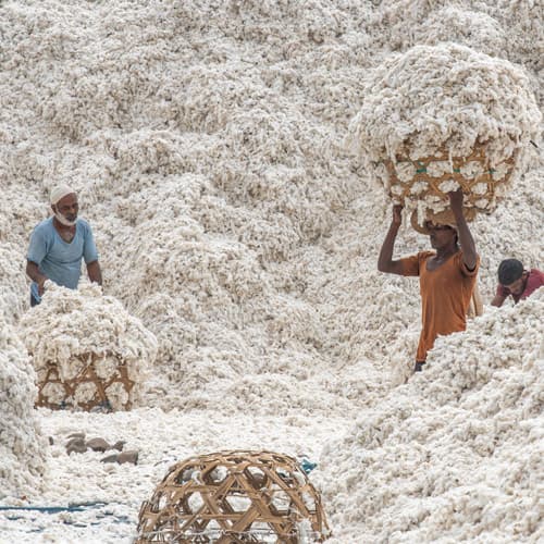 vorteile-bio-baumwolle