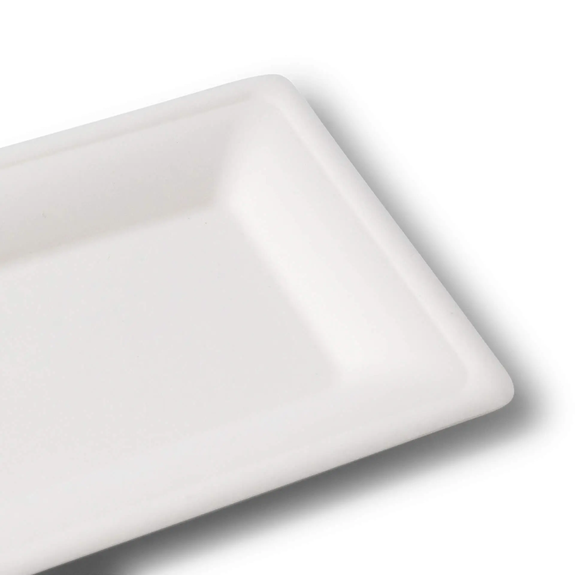 dtw08731-teller-aus-zuckerrohr-26-x-13-cm-rechteckig-3