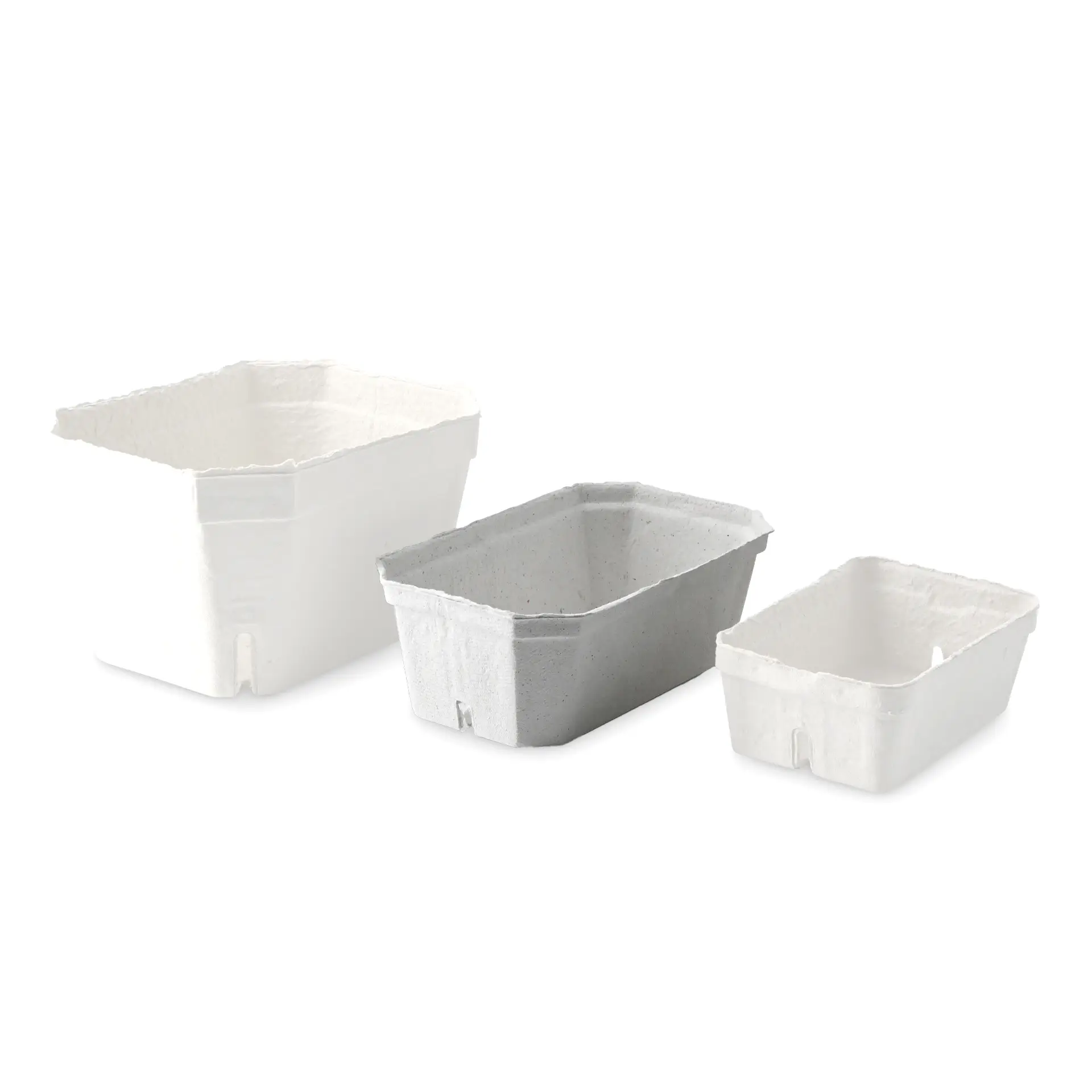 Trzy białe tacierze na jagody wykonane z tektury masowej, różniące się rozmiarem, zaprojektowane do świeżych produktów i transportu.