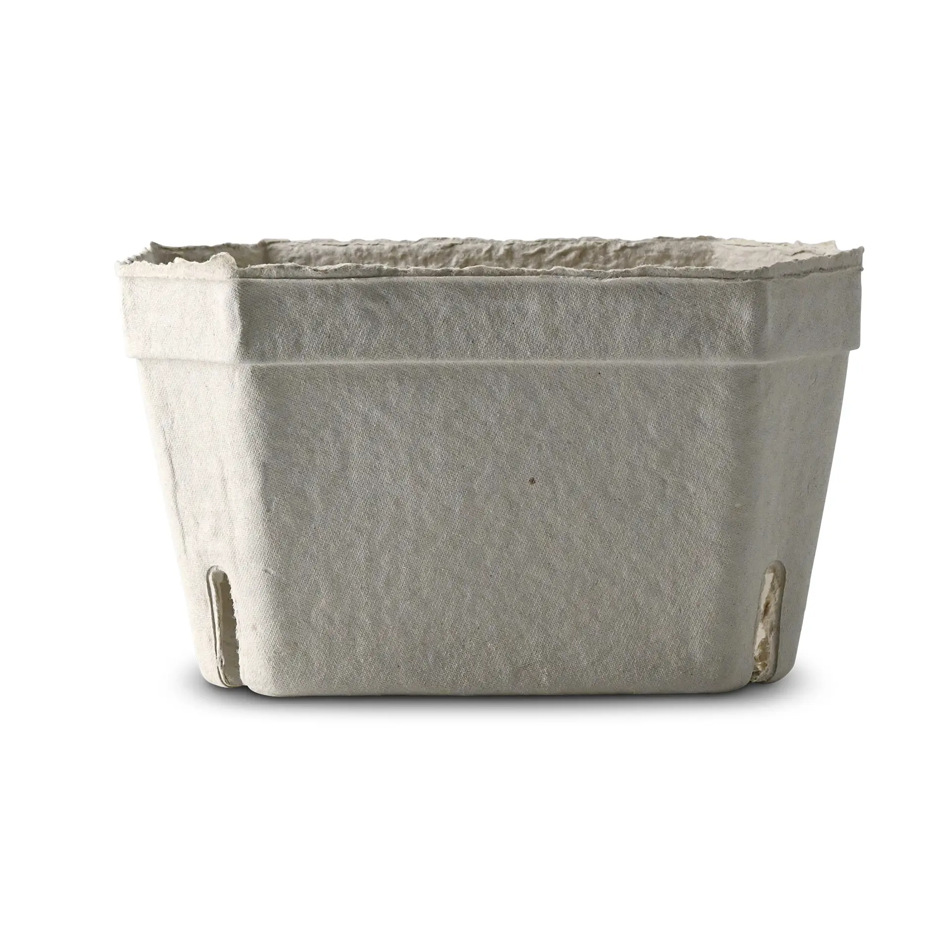 Beerenschalen aus Holzschliff 1000 g, weiß