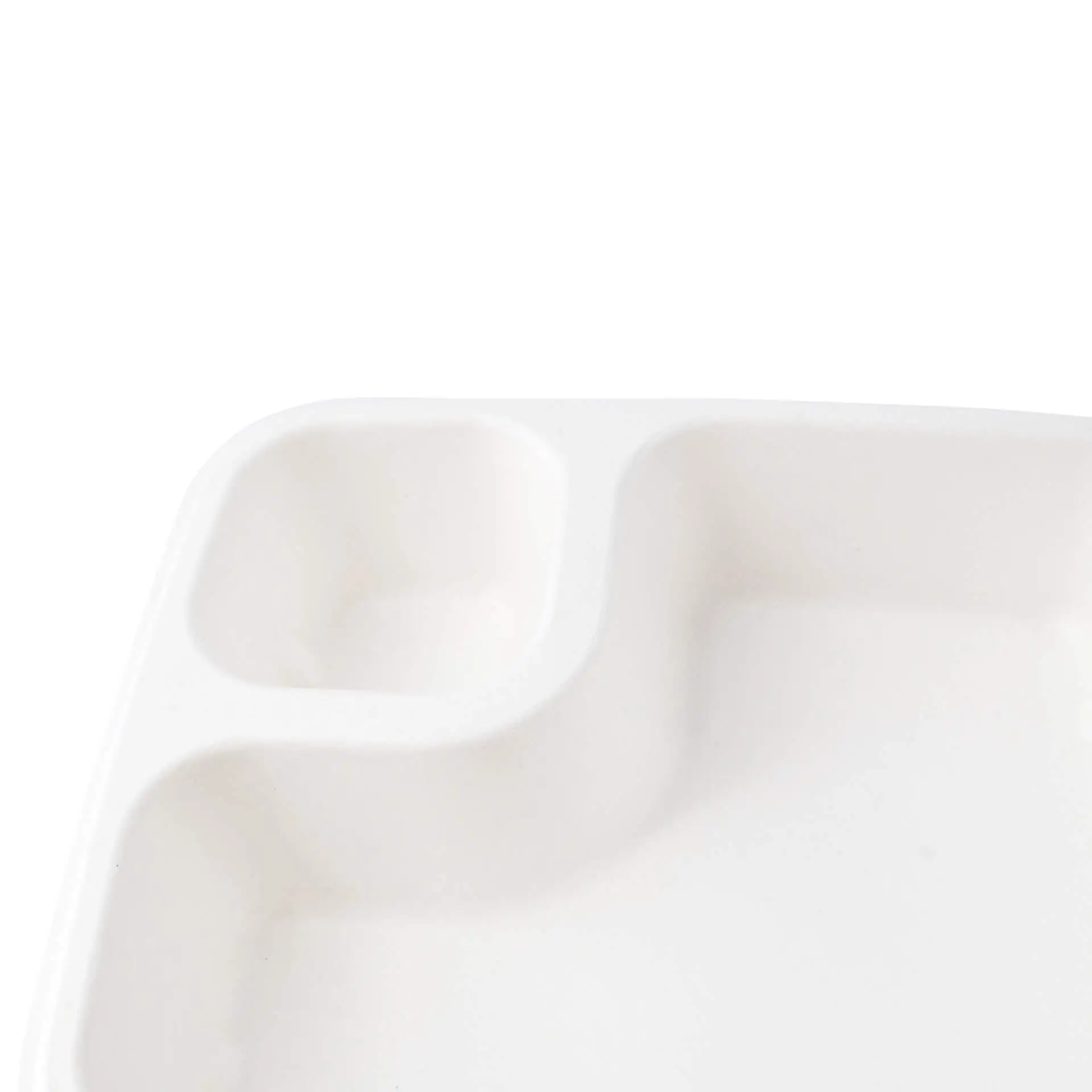 dtw014451-dip-teller-aus-zuckerrohr-165-x-19-cm-rechteckig-4