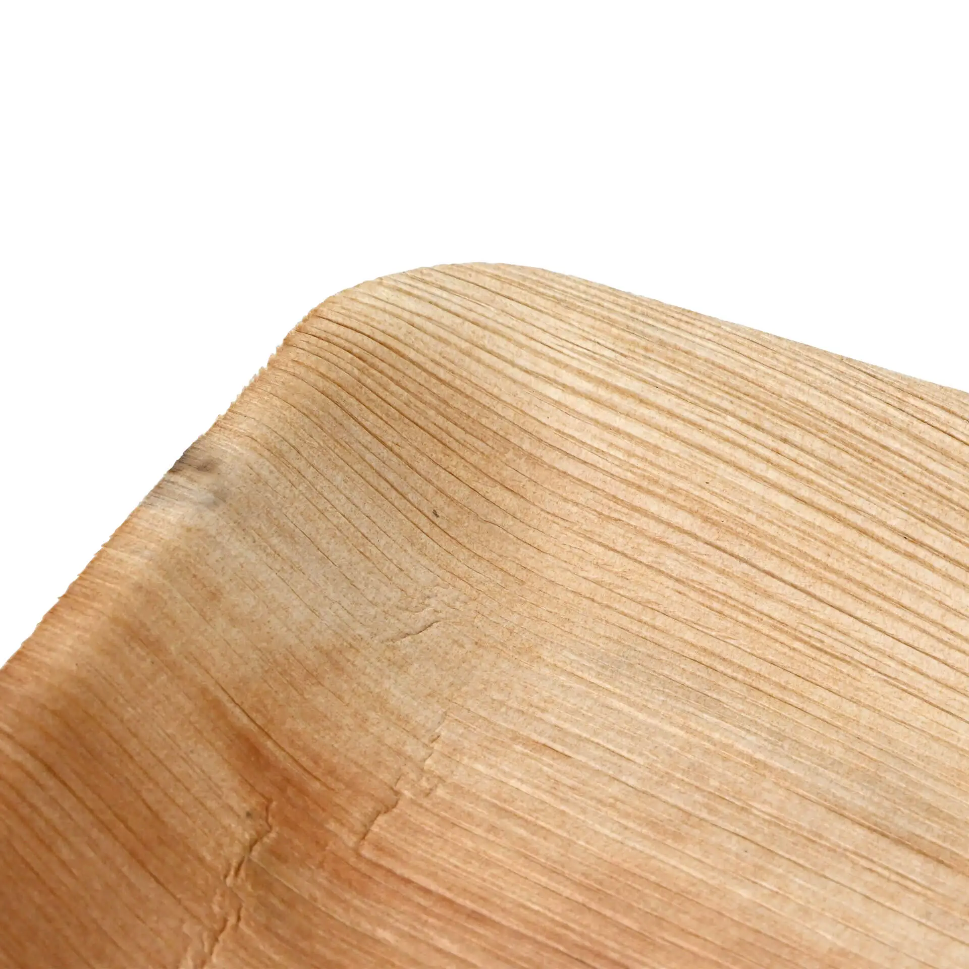 dtw05320-palmblatt-teller-palmware-25-x-15-cm-rechteckig-2