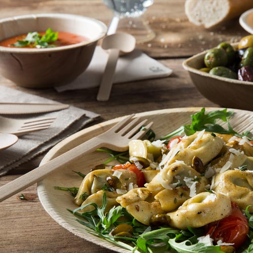 palmblatt-der-alleskoenner