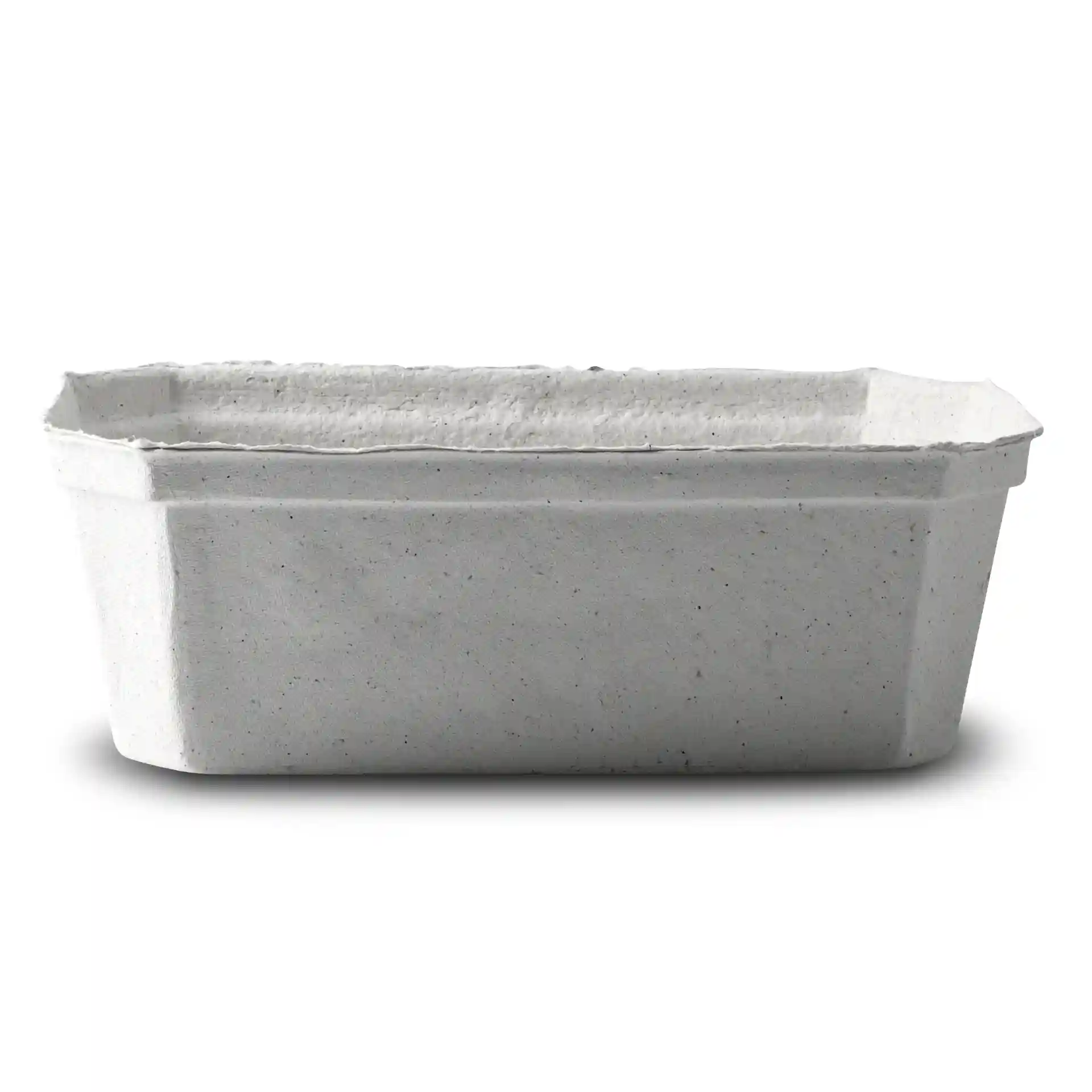 Biały pojemnik na jagody z pulpy drzewnej w prostokątnym kształcie, 185 mm długości, 115 mm szerokości i 65 mm wysokości.