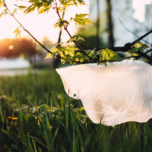 supd-plastiktuete-in-der-natur