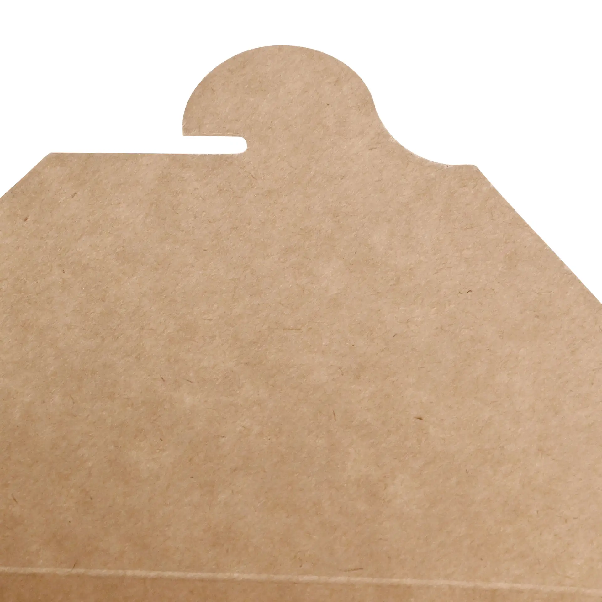 dfc016831-take-away-boxen-aus-karton-2500-ml-braun-6