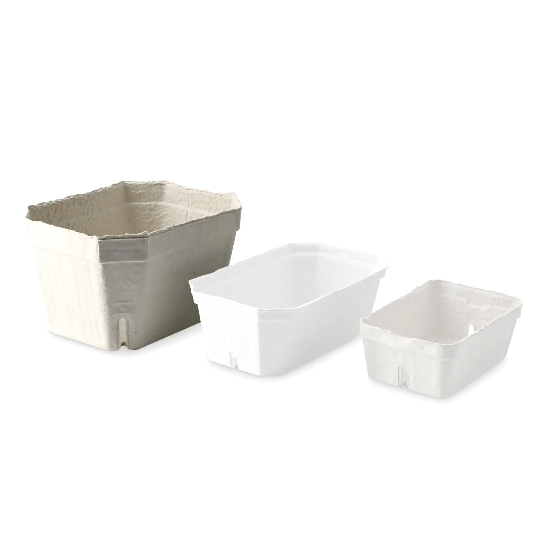 Beerenschalen aus Holzschliff 1000 g, weiß