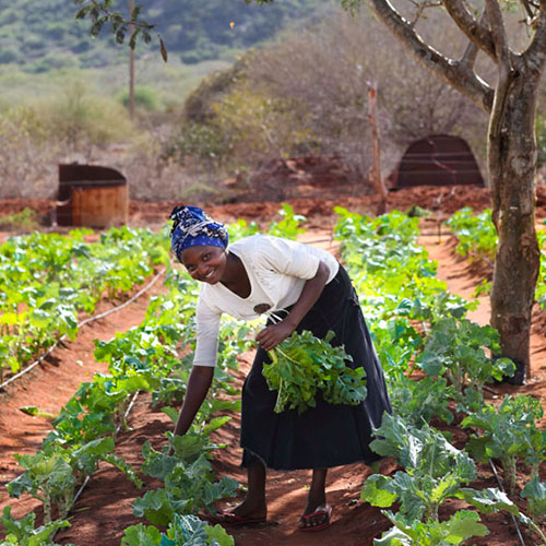 Baeuerin-Kasigau-Wildlife-Korridor