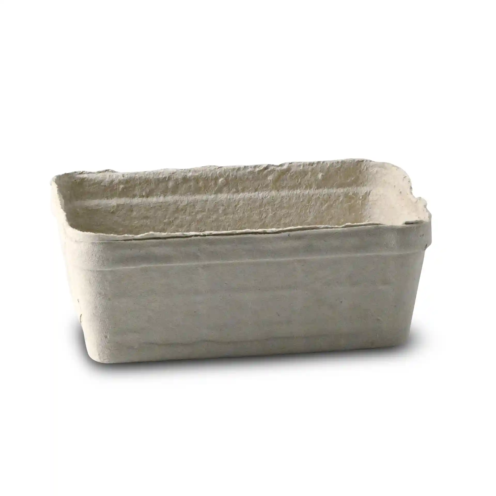 Prostokątna punnet na jagody z białej pulpy drzewnej, 135 mm długości, 90 mm szerokości i 50 mm wysokości.