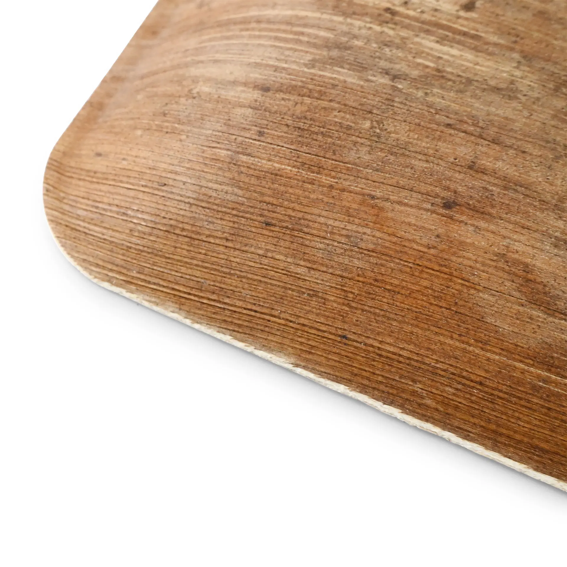 dtw05360-palmblatt-teller-palmware-15-x-15-cm-quadratisch-4