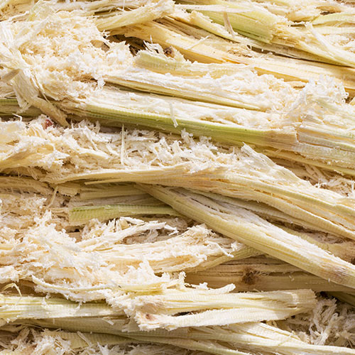 bagassefasern-zuckerrohr