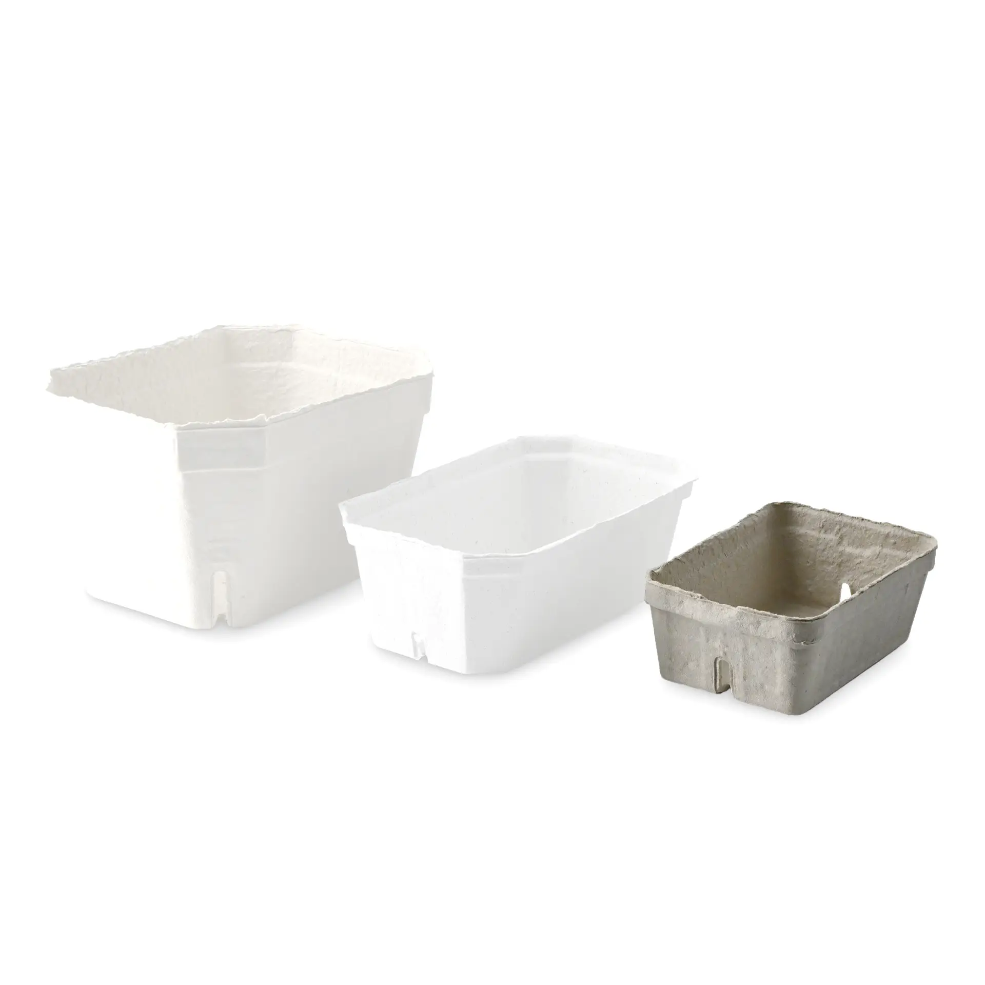 Trzy tace na jagody w centrum: jedna biała taca z tektury drzewnej, jedna biała taca i jedna szara taca obok.