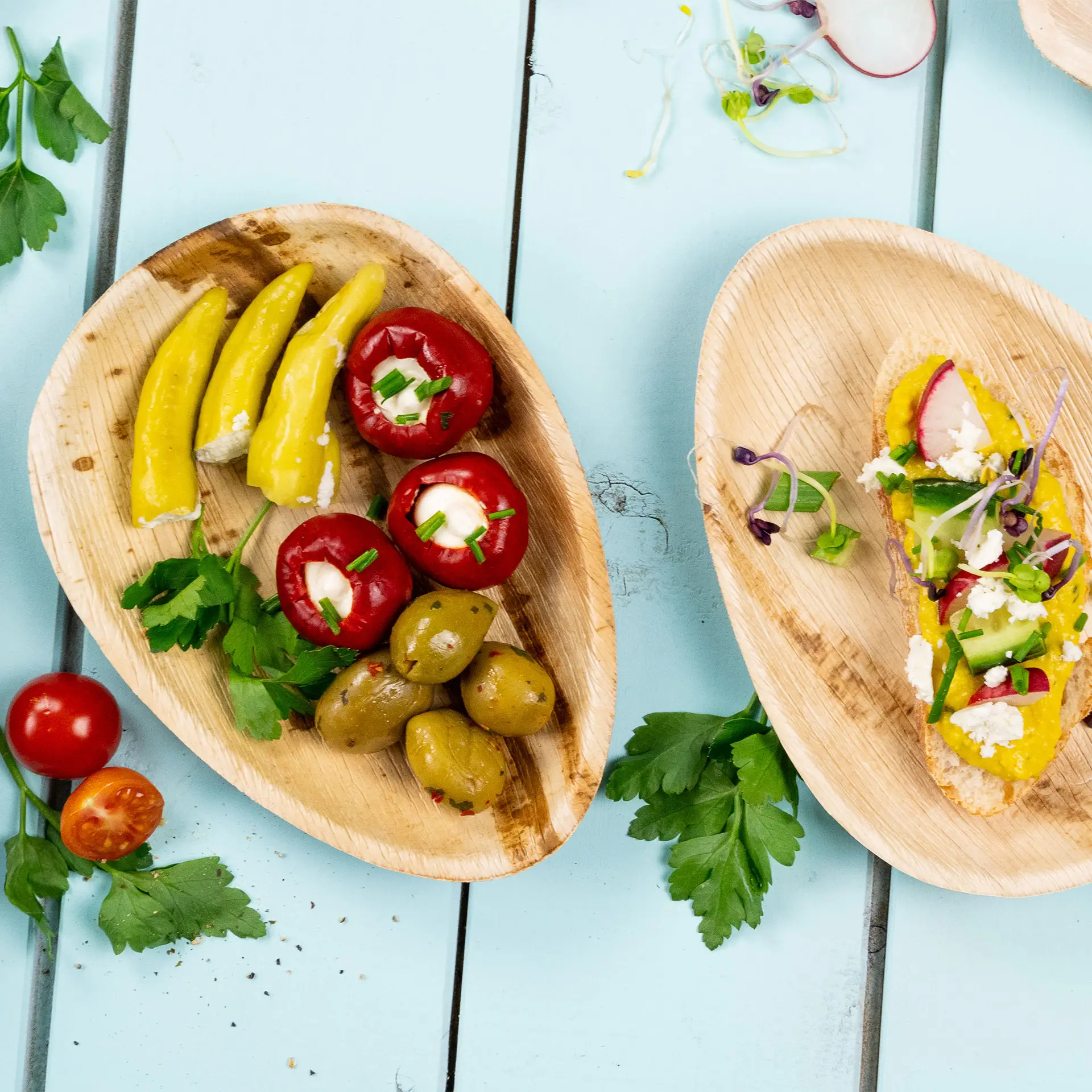 dtw05610-palmblatt-teller-palmware-17-cm-tropfenfoermig-7