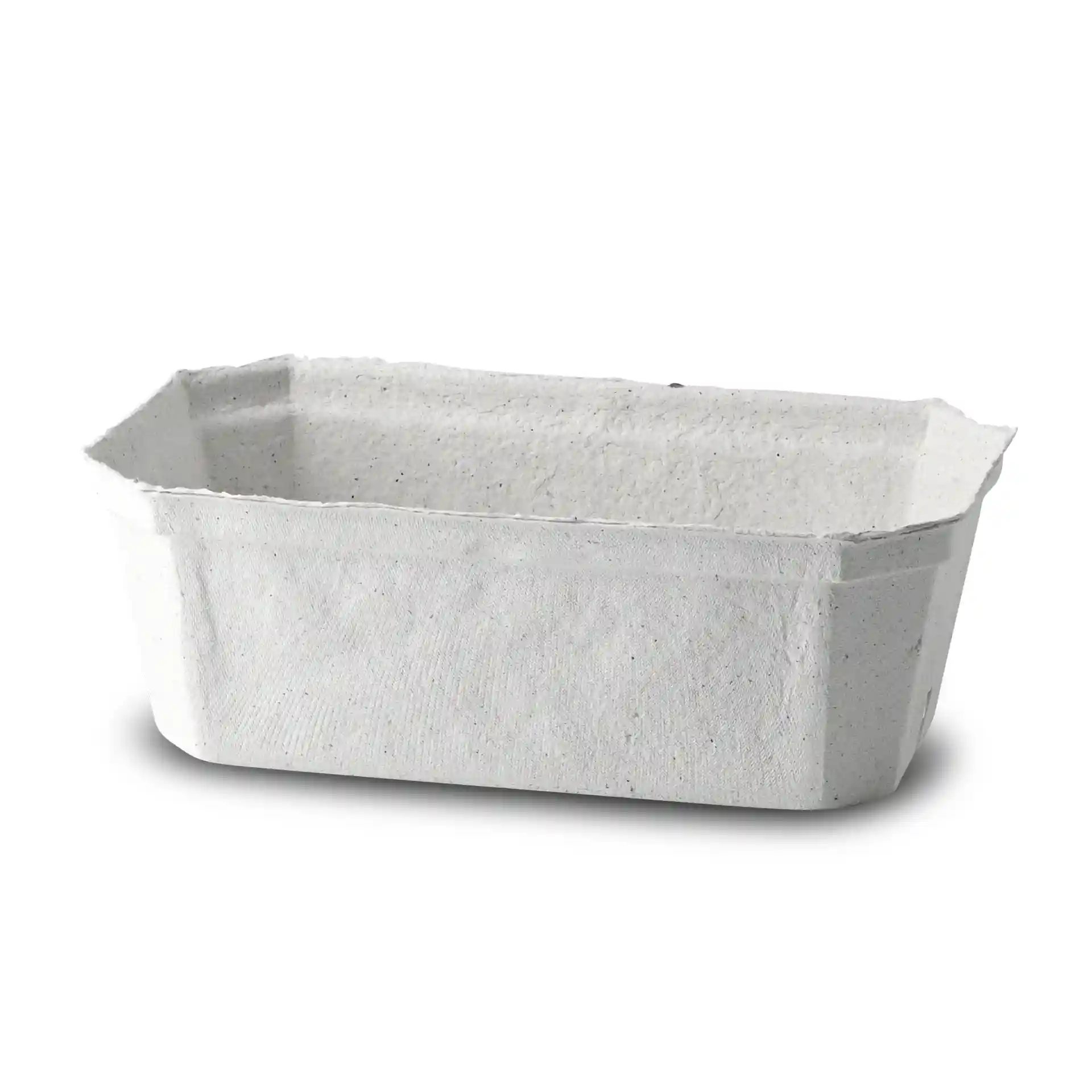 Prostokątna punnet na jagody z białej pulpy drzewnej, 185 mm długości, 115 mm szerokości i 65 mm wysokości.
