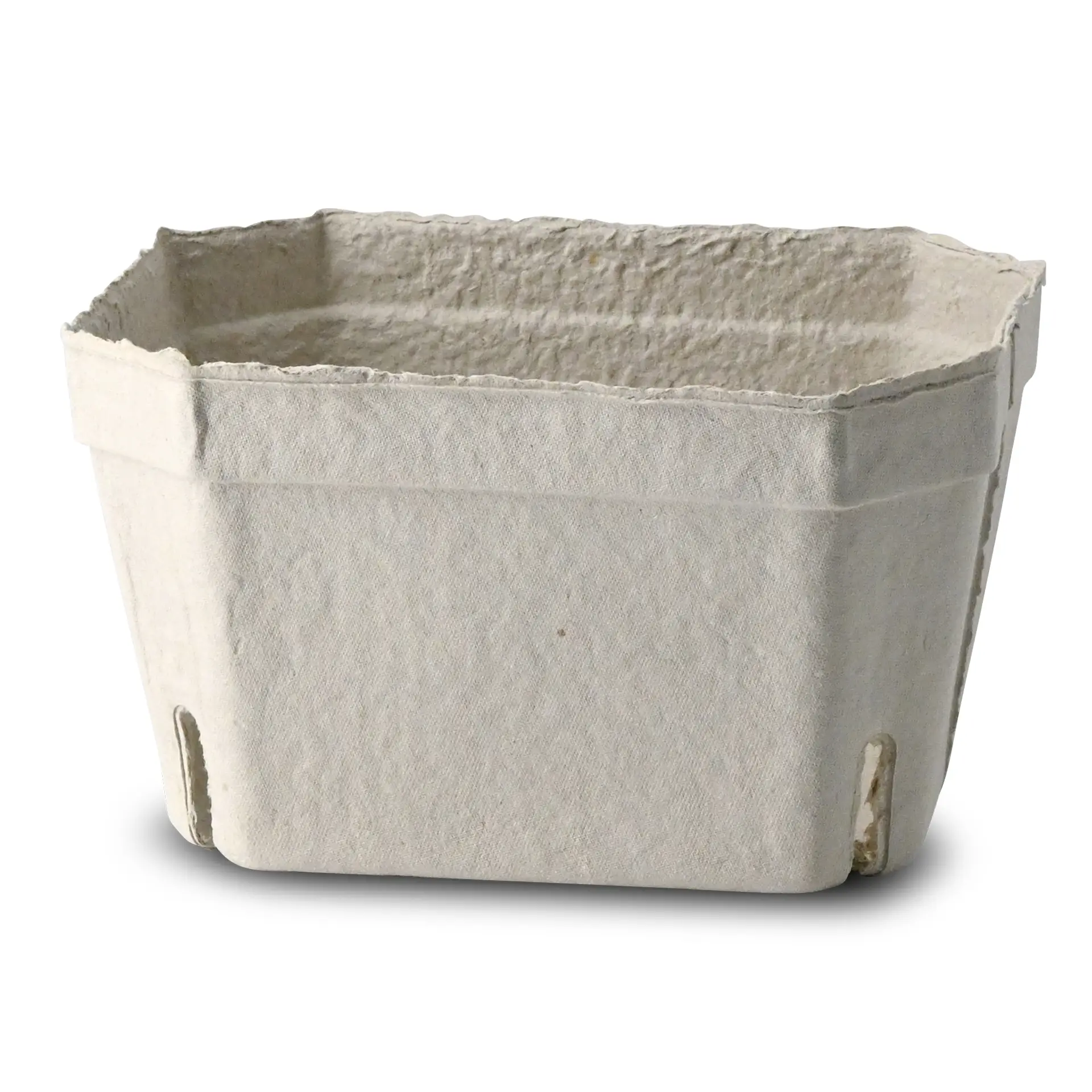 Jedna biała tacka na jagody z tektury drzewnej, zaprojektowana do świeżych produktów, z otwartymi bokami do ujścia wilgoci.