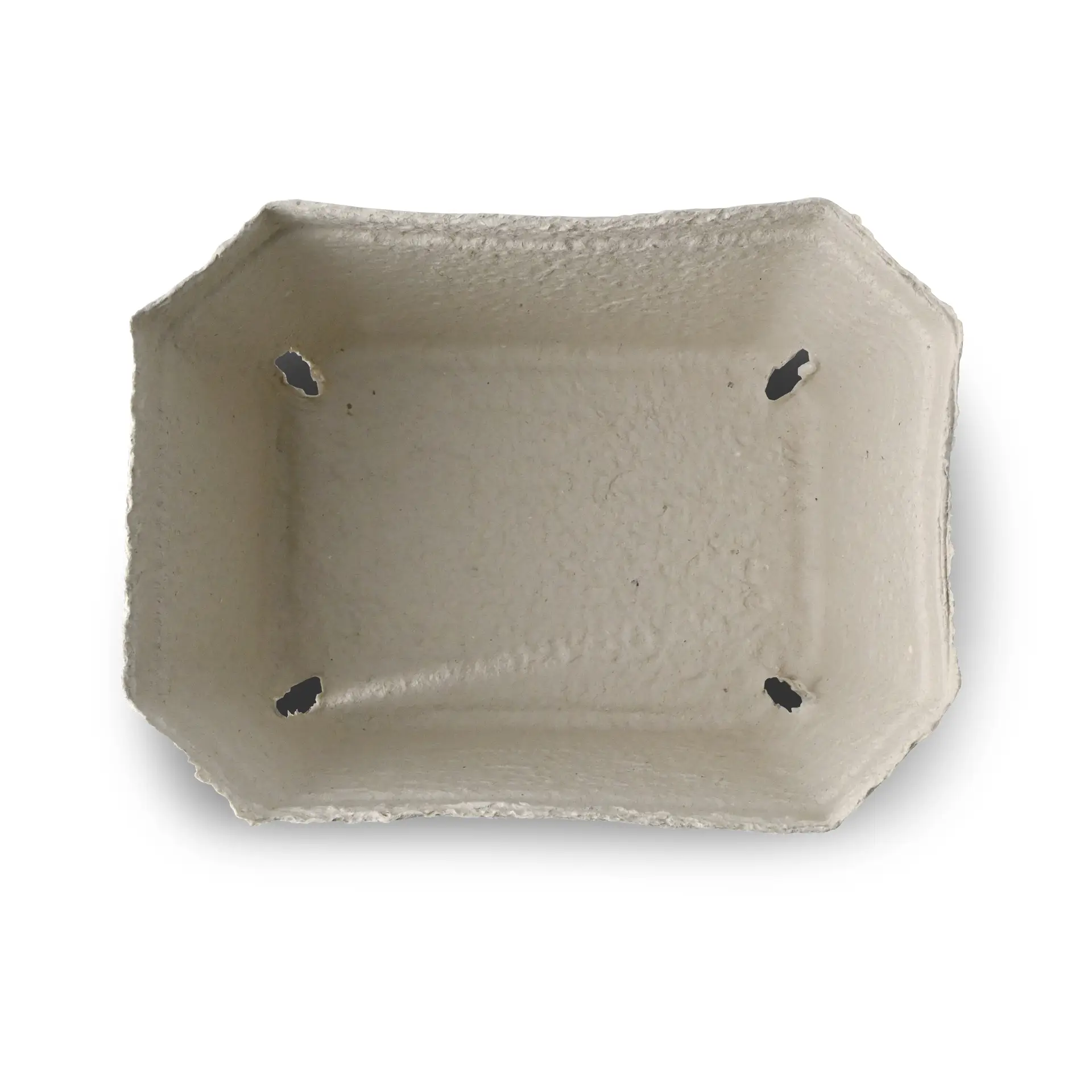 Beerenschalen aus Holzschliff 1000 g, weiß